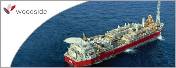 Woodside Brownfields Information Management Support