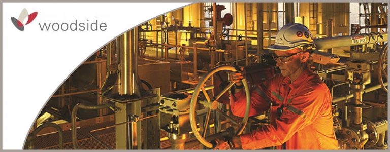 Woodside Brownfields Information Management Support